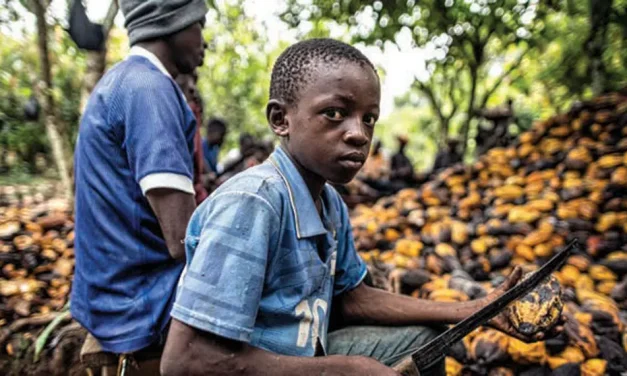 Mars, Inc. faces allegations of child labor in cocoa supply chain
