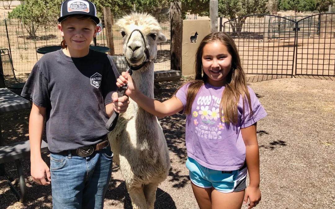 20th annual Alpaca Farm Dayscelebration returns to Kingman